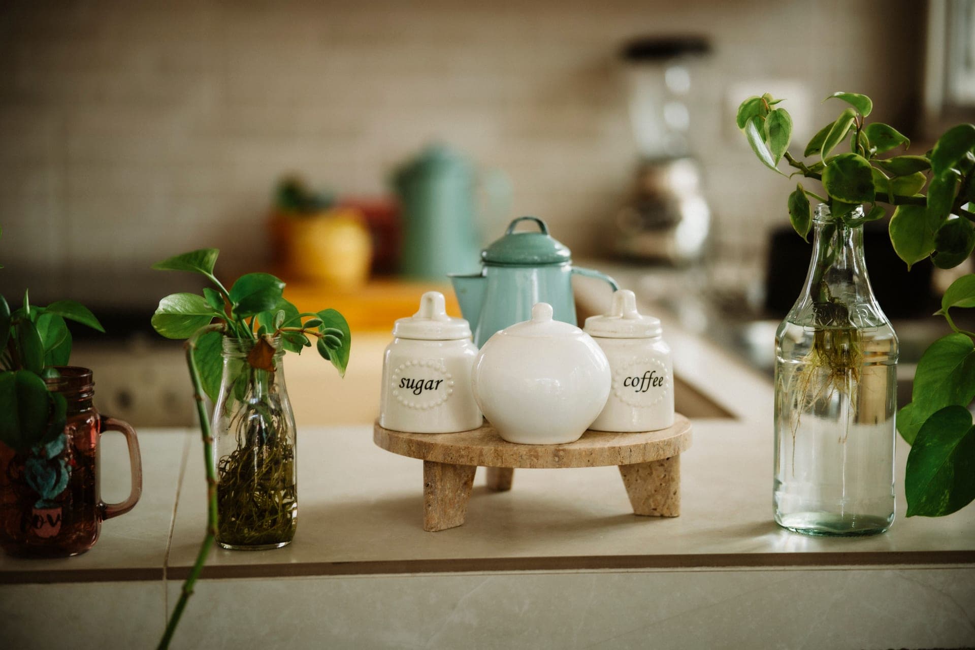 A kitchen counter with coffee jars, plants and utensils