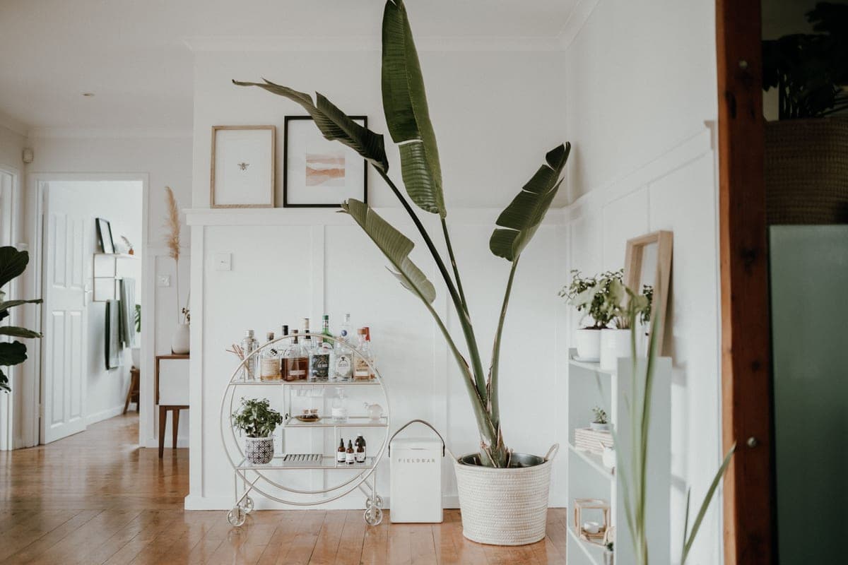 A narrow serving cart standing in a tight gap between a sofa arm and a wall